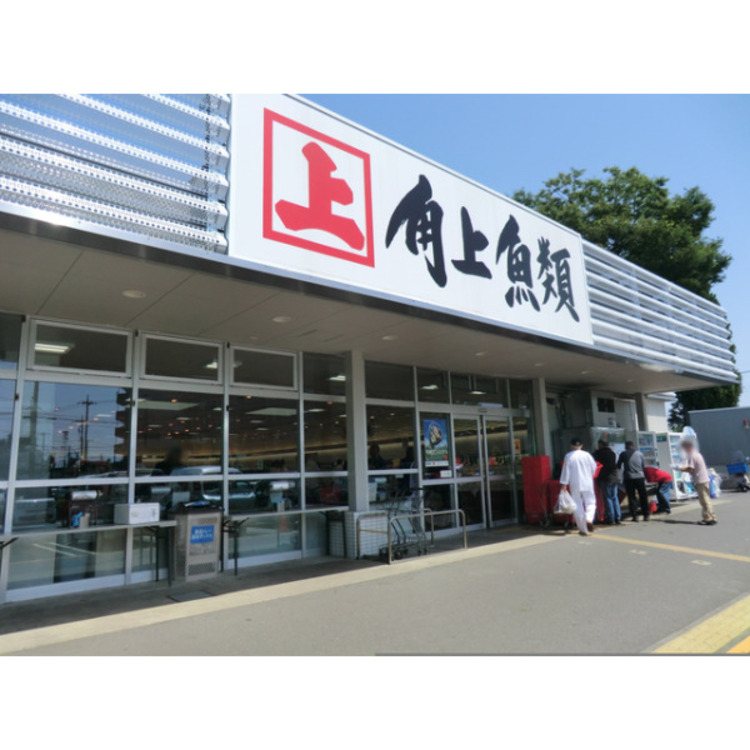 周辺 角上魚類(約1100m)