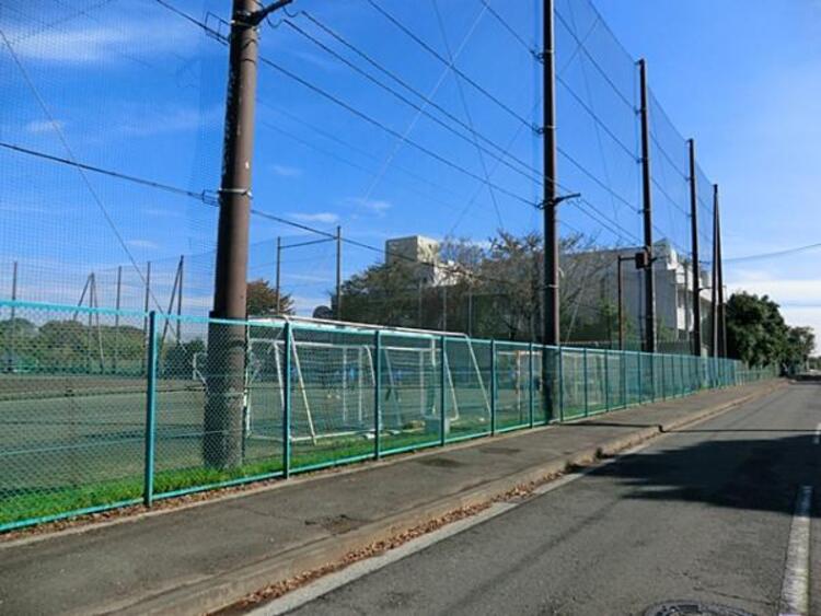 周辺 横浜市立高田中学校	300m	