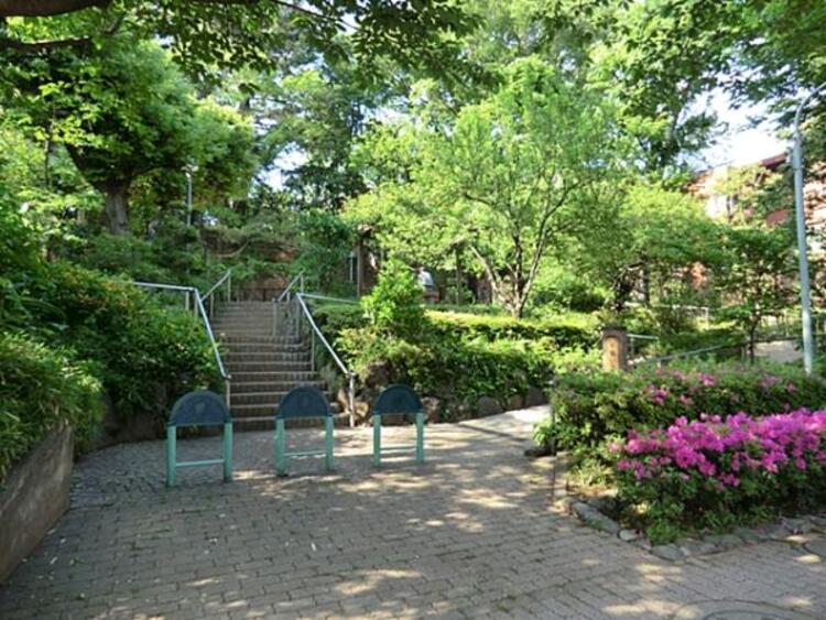 周辺 千鳥いこい公園　240ｍ