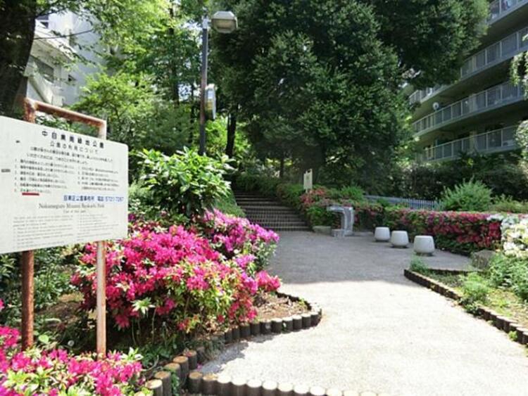 周辺 中目黒南緑地公園  340m