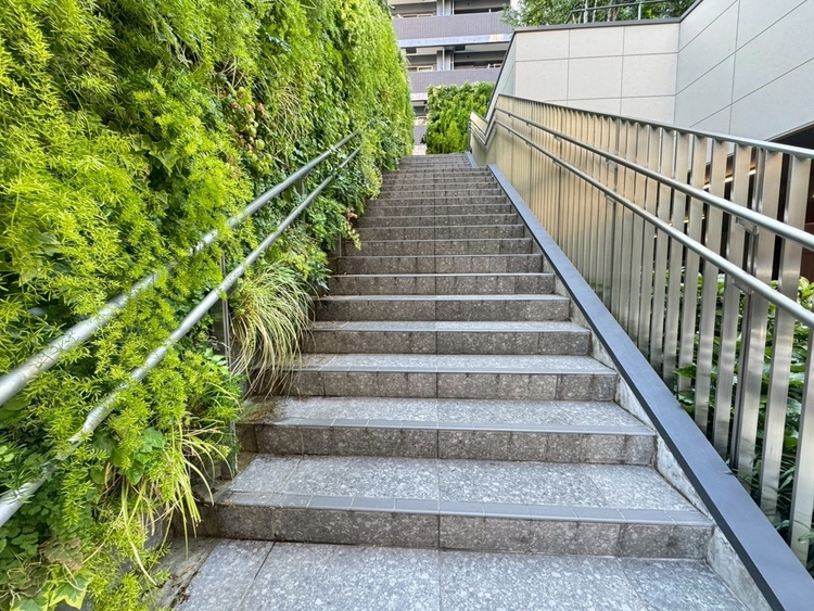 その他 共用部の階段です。明るく清潔に管理されています。