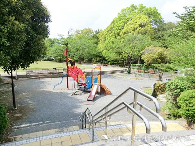 周辺 【白根公園】390ｍ　広い芝生と遊具がそろい、子どもから大人までのんびり過ごせる、緑豊かで地域に親しまれる憩いの公園です。