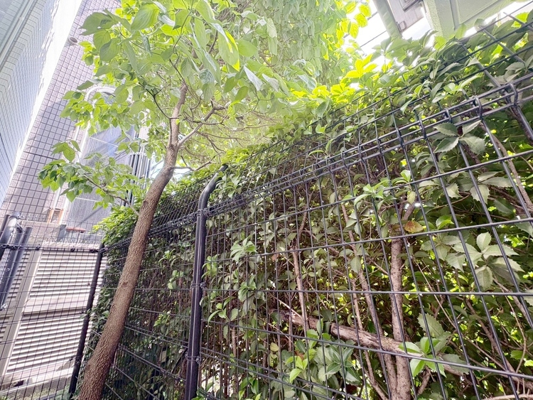 その他 眺望や窓からの景色が良いと、家で過ごす時間も快適です。