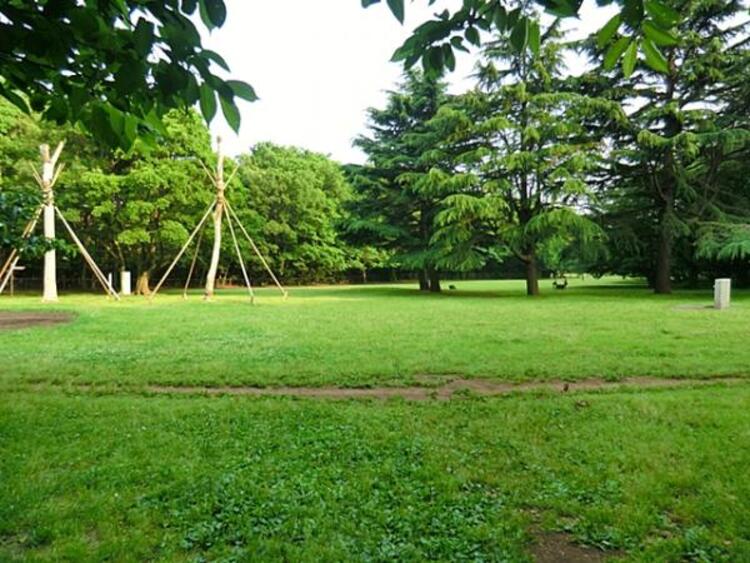 周辺 砧公園　1300m