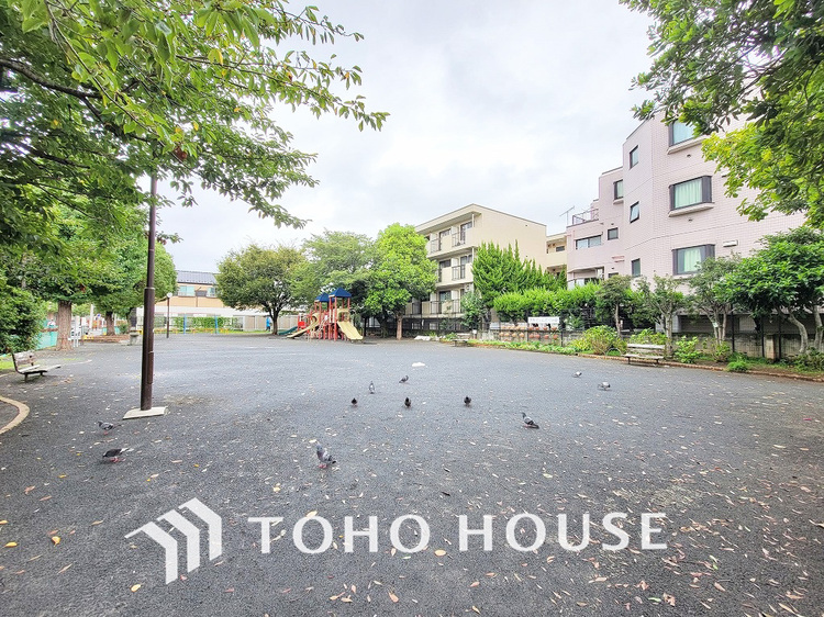 周辺 京町公園　距離350ｍ