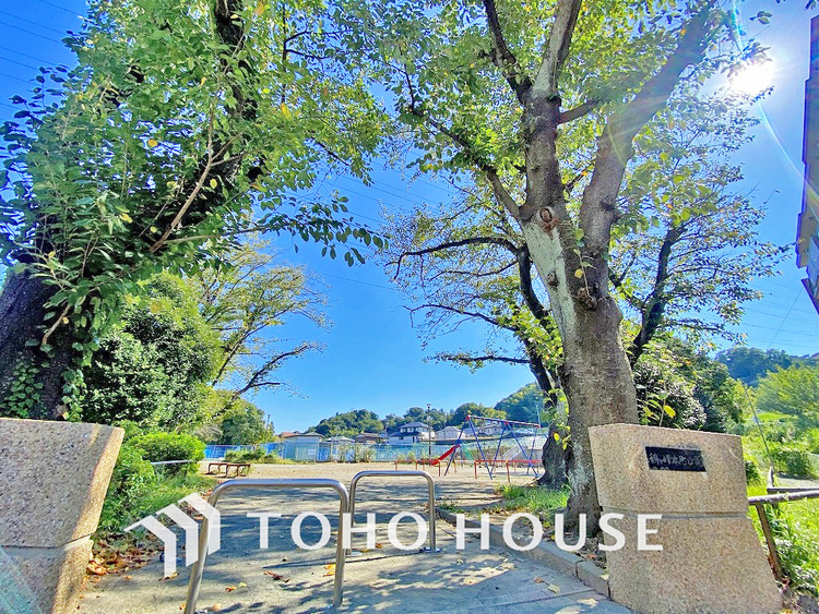 周辺 鶴ヶ峰本町公園　距離1100ｍ
