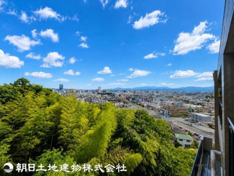 その他 【2026年5月撮影】