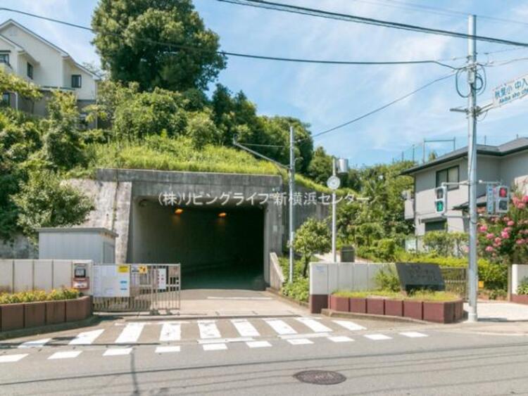 周辺 秋葉小学校	690m