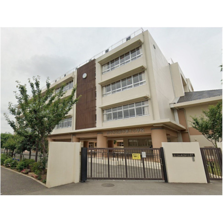 周辺 第十小学校(約500m)