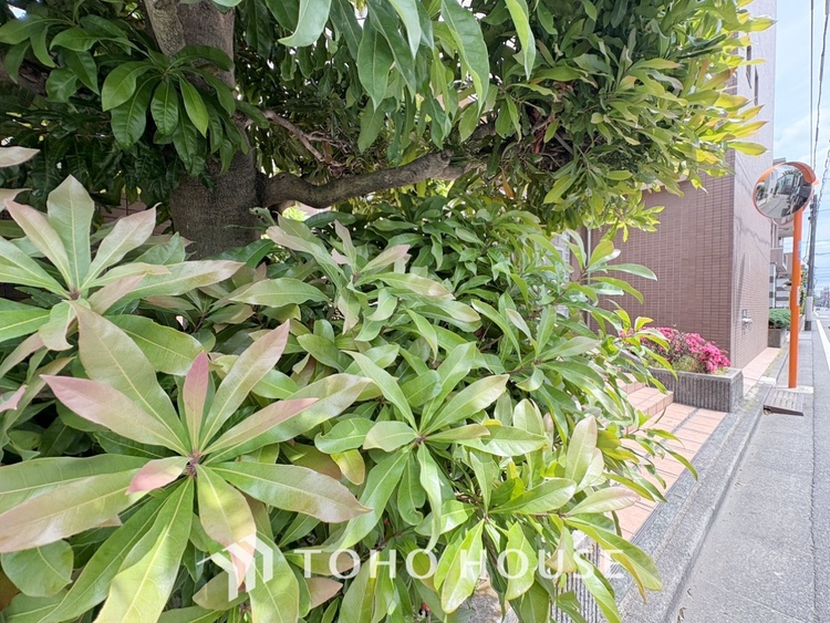 その他 ◆木漏れ日◆の様な採光が優しく足元を照らし、心地いい暮らしの道しるべを写し出す。この空間で過ごす家族との語らいの時間がとても素敵で幸せを感じるかもしれない。【Holiday of a home】