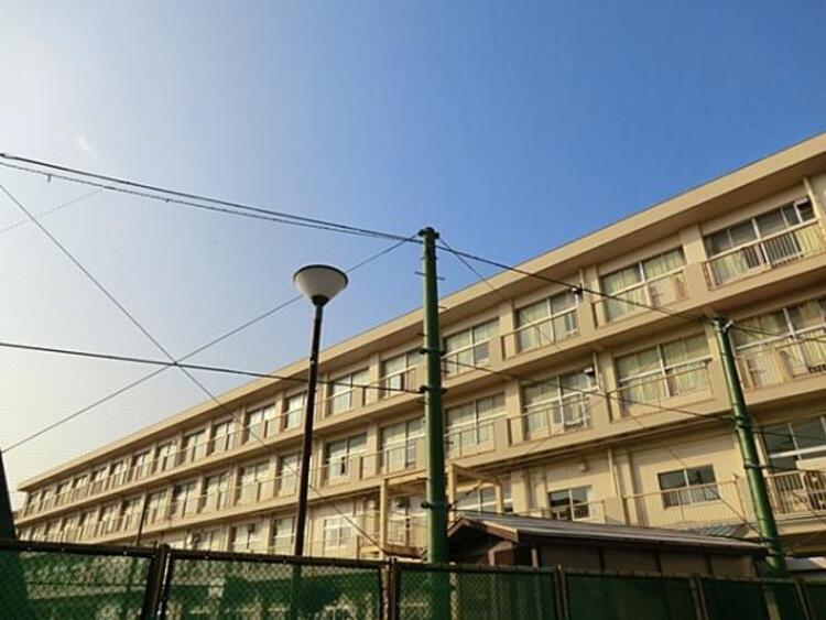 周辺 横浜市立相武山小学校まで約520ｍ