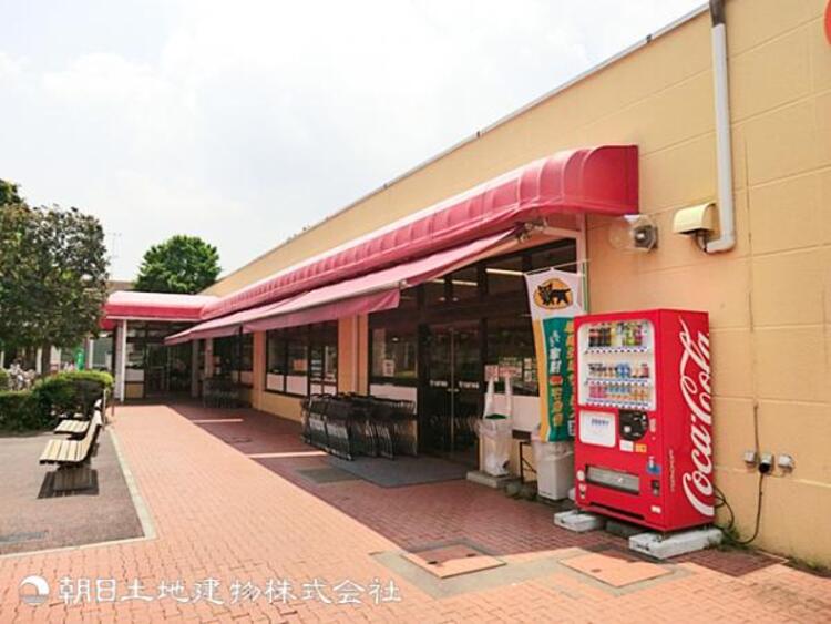 周辺 【三和鴨志田店】250ｍ　生鮮の鮮度や価格のバランスがよく、売り場が広すぎず毎日のお買い物に便利なスーパーです。住宅地の中にあり、周辺住民の生活を支えています。