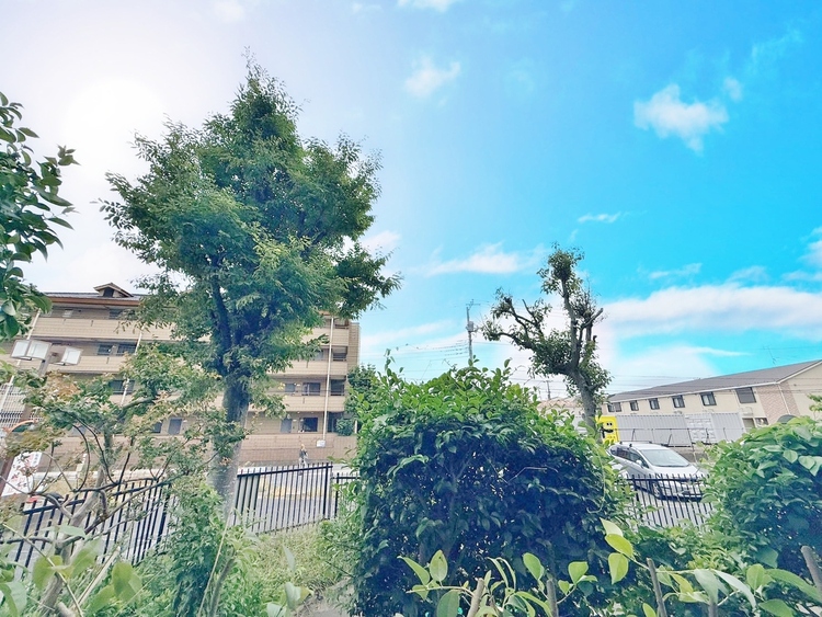 バルコニー 窓を開けると広がる青空。心をリフレッシュして日々を過ごしていきましょう。