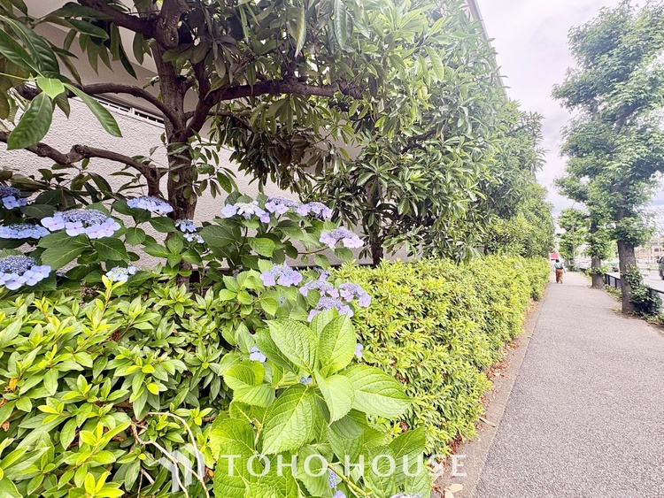 外観 「今日これから！」の見学が可能です！また、「購入前に住宅ローンの相談を・・・」お気軽にご相談下さい。
