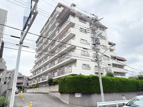 上池台スカイマンションの物件画像