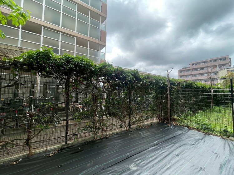 その他 眺望や窓からの景色が良いと、家で過ごす時間も快適です。