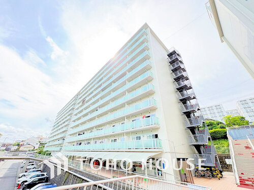 三ツ沢ハイタウン1号棟の物件画像
