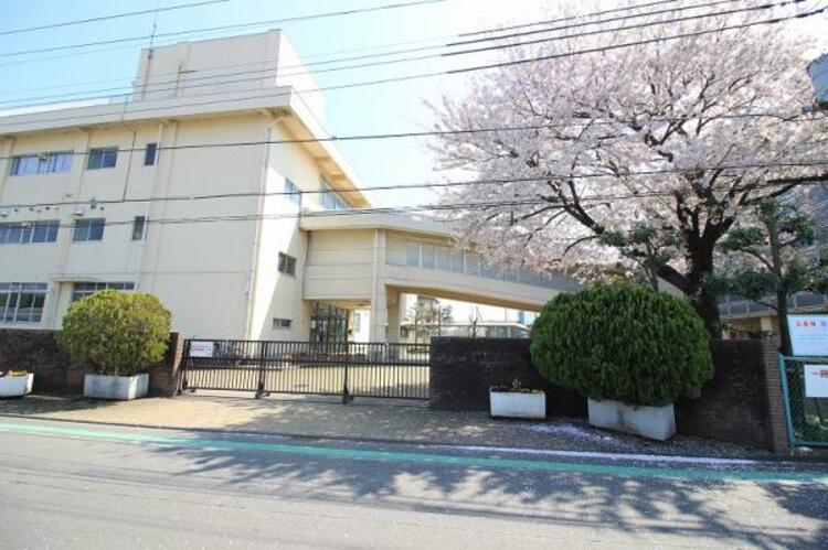 周辺 麻溝台中学校まで約986ｍ