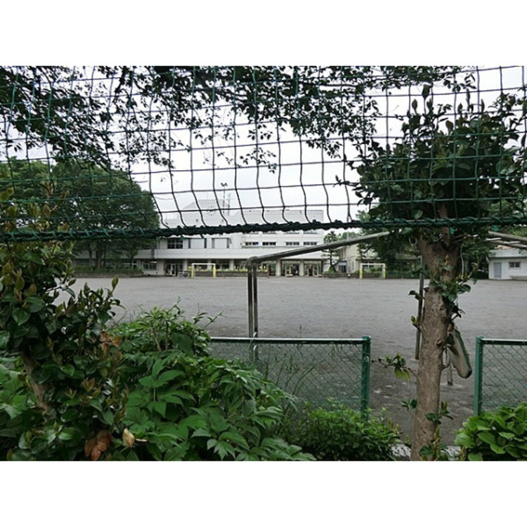 周辺 第四小学校(約1000m)