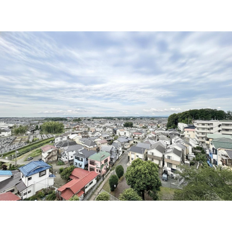 その他 (2026年6月22日撮影)