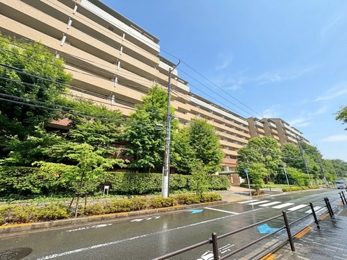ファミールグラン高井戸デュープレックスの物件画像