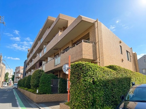 ソフィア学芸大学の画像