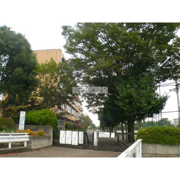 周辺 南中学校(約240m)