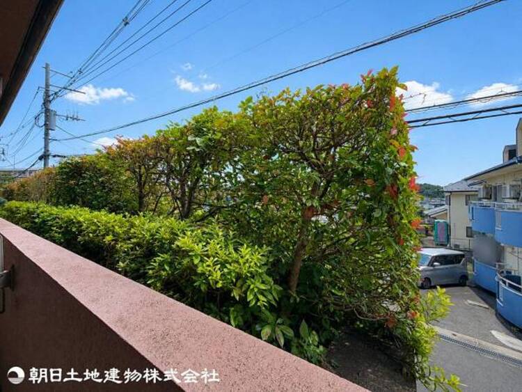 その他 【2026年6月撮影】