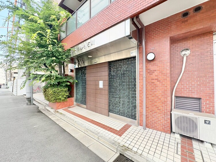 その他 上質感漂う玄関アプローチです。