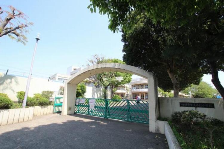 周辺 相模原市立若松小学校まで815m（徒歩11分）