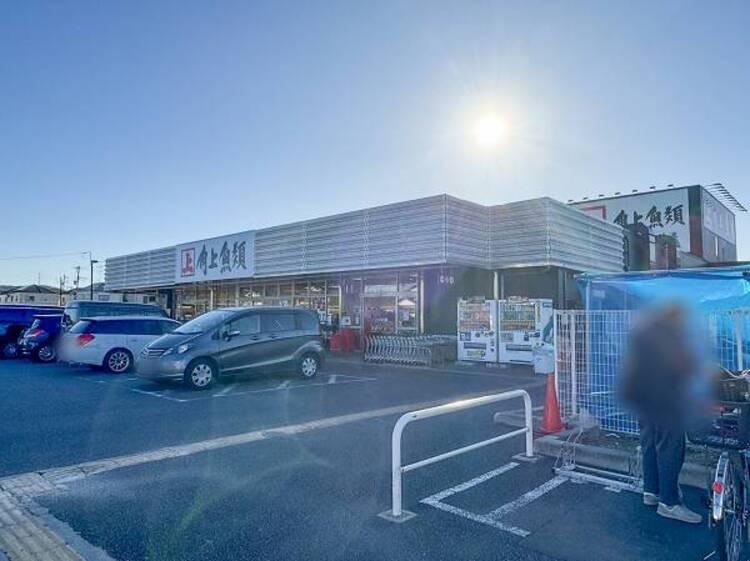 周辺 角上魚類日野店迄640ｍ
