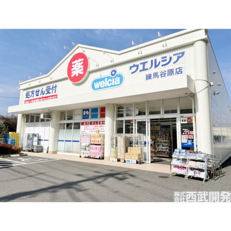 周辺 ウエルシア練馬谷原店(約700m)