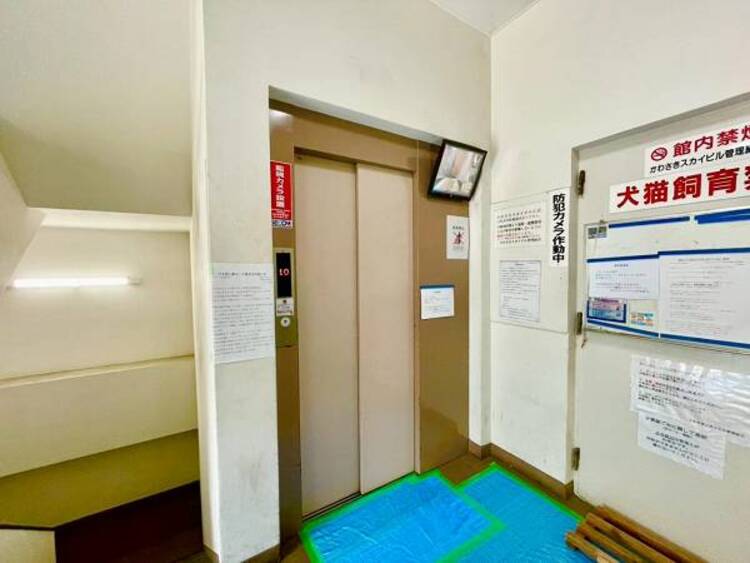 その他 共用部まで丁寧に管理されています