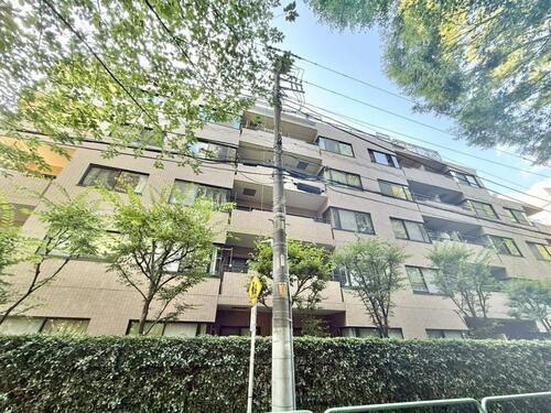 メイツ新桜台の物件画像