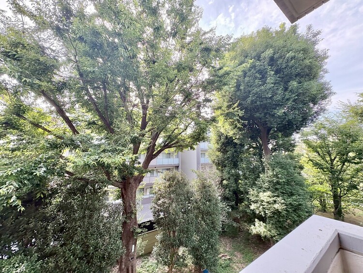 その他 陽当たり・通風・開放感に恵まれた環境です。