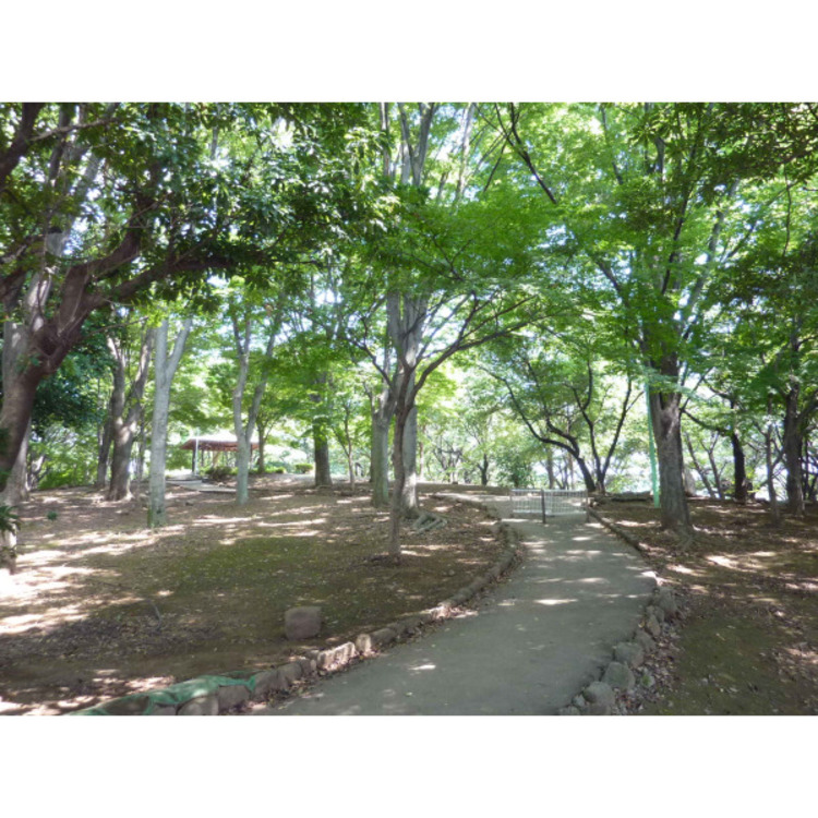 周辺 上仲原公園(約700m)
