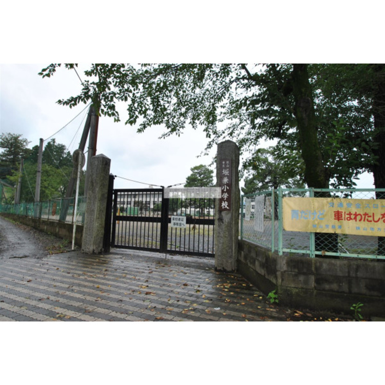 周辺 堀兼小学校(約550m)