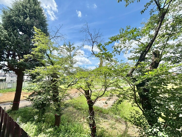 その他 陽当たり・通風・開放感に恵まれた環境です。