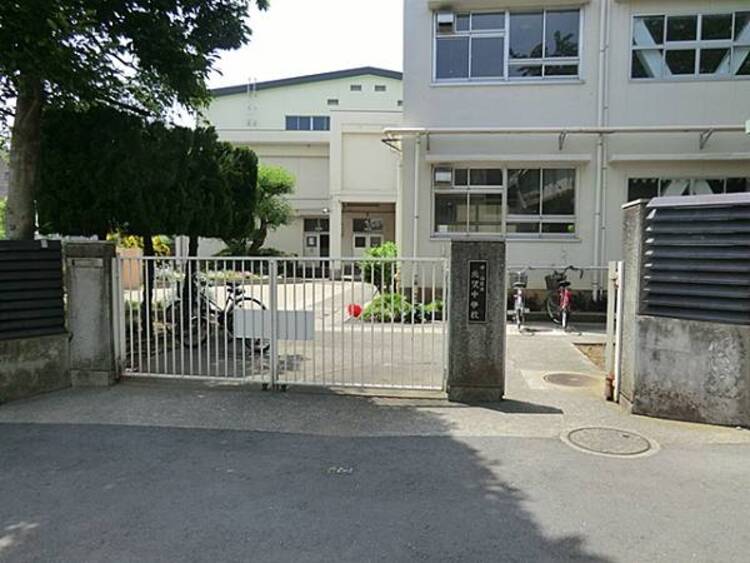 周辺 世田谷区立北沢中学校　550m