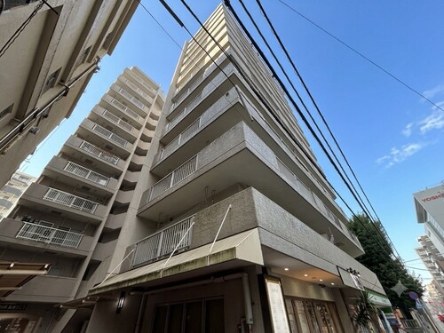 ドルミ錦糸町長谷川ビルの物件画像