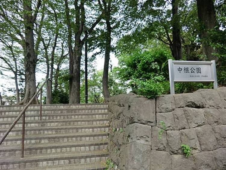 周辺 中根公園　670ｍ