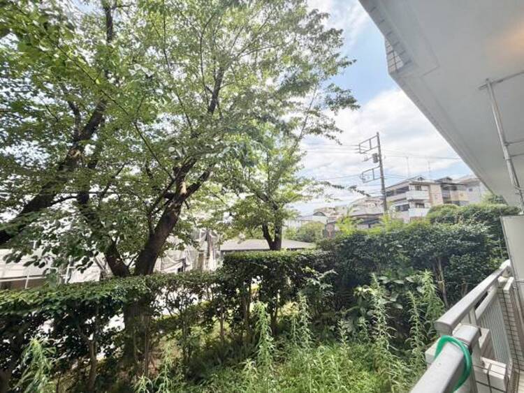 その他 周囲の自然が一望でき、穏やかな時間を楽しめる眺望です。