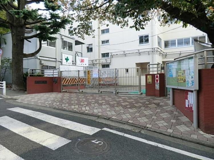 周辺 横浜市立寺尾小学校　750ｍ