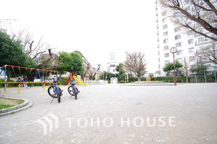 周辺 世田谷区立南原公園　距離500m