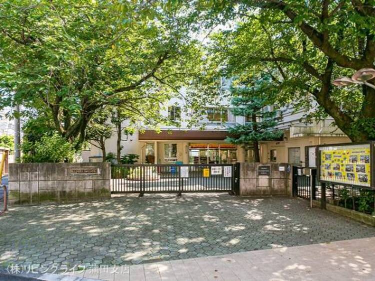 周辺 目黒区立田道小学校　740ｍ