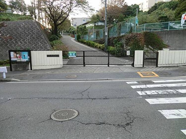 周辺 横浜市立芹が谷中学校まで約830ｍ