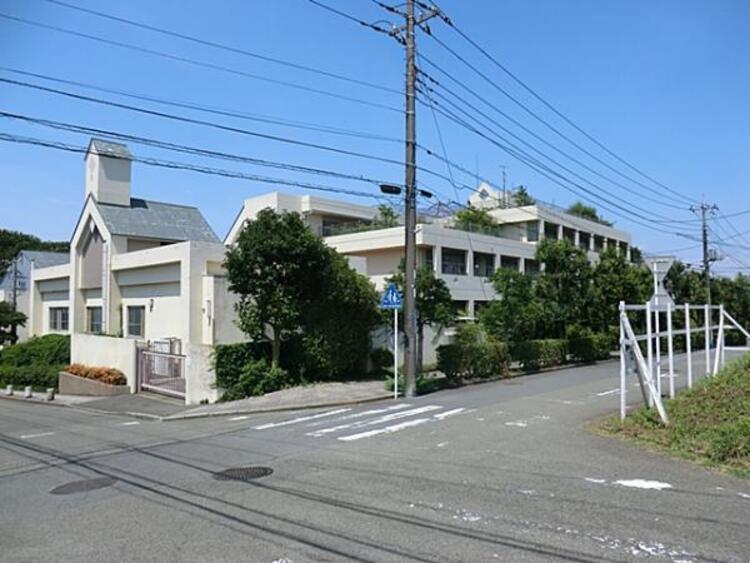 周辺 横浜市立桂小学校まで約1000ｍ