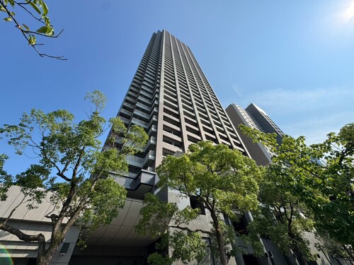 晴海アイランドトリトンスクエアビュータワーの物件画像