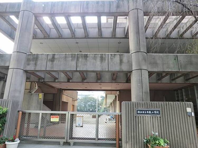 周辺 横浜市立日枝小学校まで約340ｍ