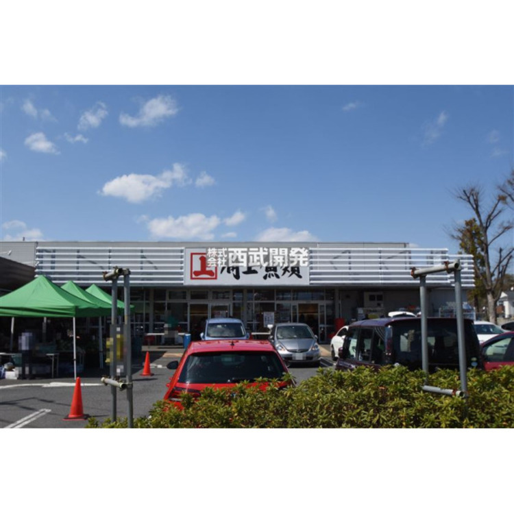 周辺 角上魚類(約750m)